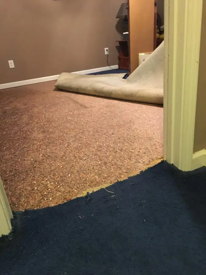 Carpet pad removal revealing water damage during Drying & Dehumidification in Winchester