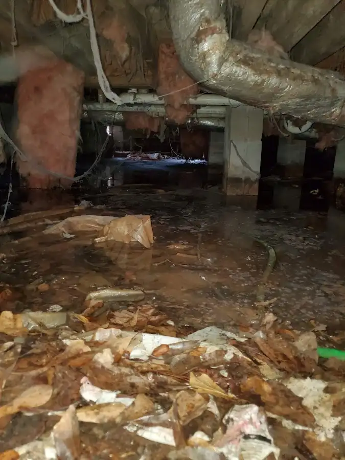 Crawl space flood assessment for Leak Detection & Repair in Winchester